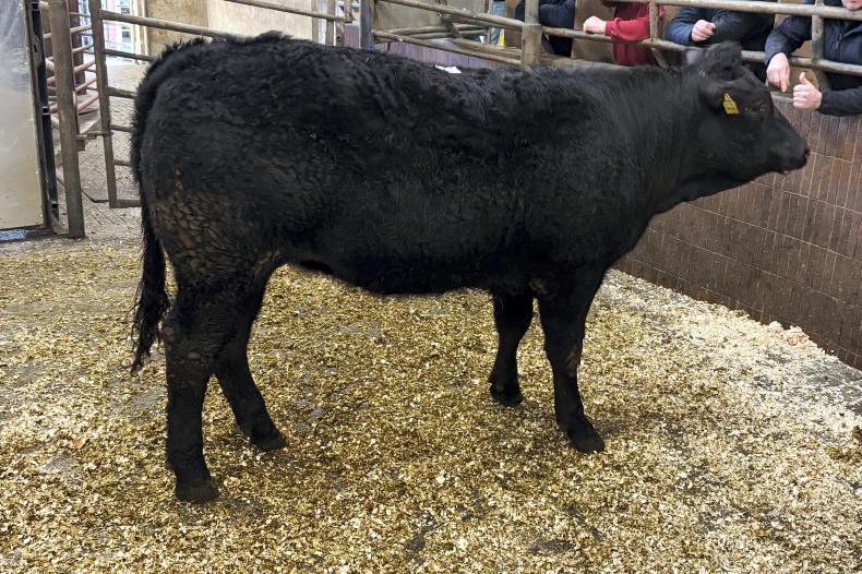 Martbids Database: live trade holding despite slippage in factory prices