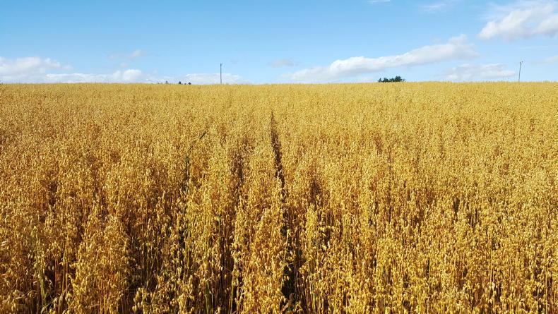 Increase in organic tillage and dairy applications