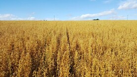 Increase in organic tillage and dairy applications