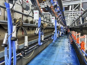 TAMS III approval rates tumble for tranche 10