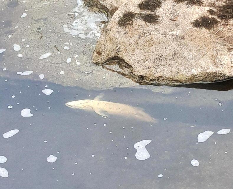 Muir keen to end 'bye-ball' for NI Water