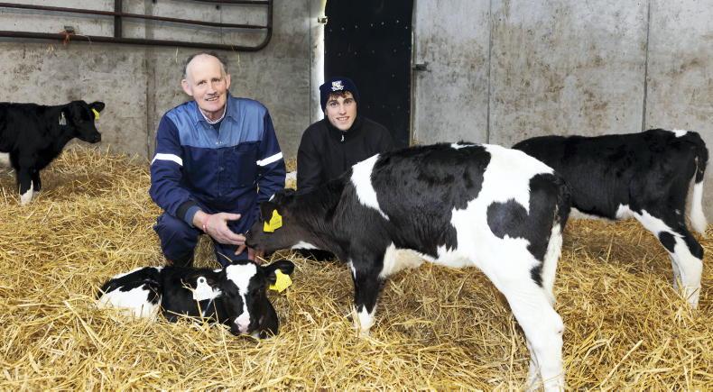 My Farming Week: Gary Murphy, Knoxtown, Clonroche, Co Wexford