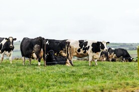 Dairy Management: weather is mixed for the week ahead