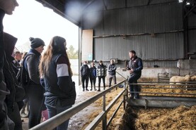 Poor conditions delaying turn-out on Tullamore Farm