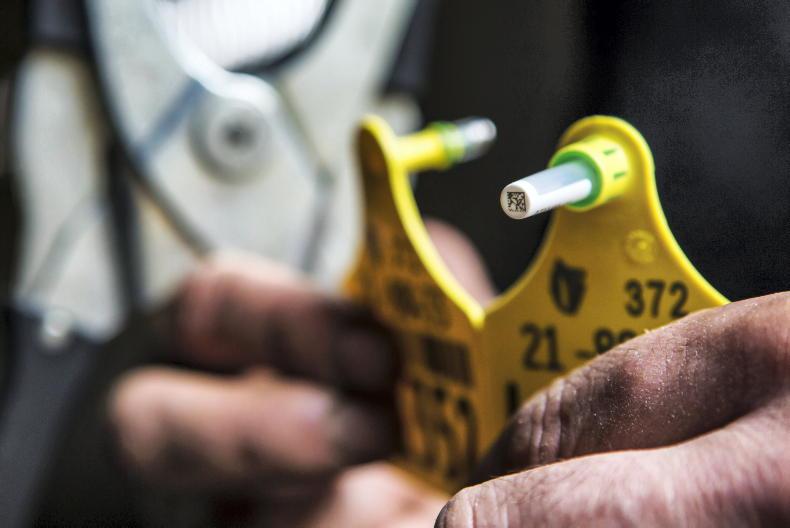 Number of samples arriving at ICBF up 20% year on year