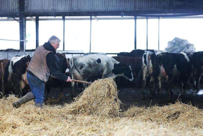 Watch: this week in pictures as farmers protest and lambing and calving continue