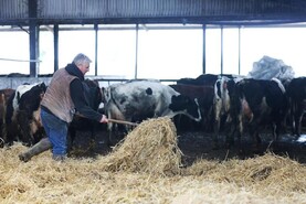 Watch: this week in pictures as farmers protest and lambing and calving continue