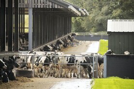 British dairy herd falls to 10-year low 