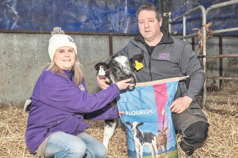 Select milk replacers carefully to ensure top calf development and growth