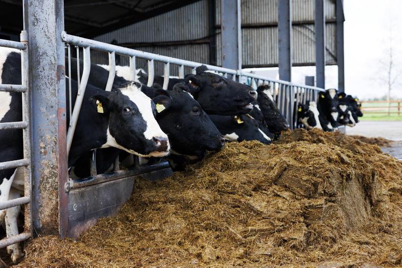 80% of farms unable to get cattle out to grass – FRS survey