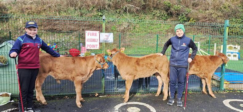 In pictures: our favourite readers' photos of the week