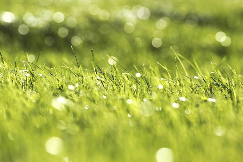 Weekend weather: mostly dry, with rain on way for Sunday