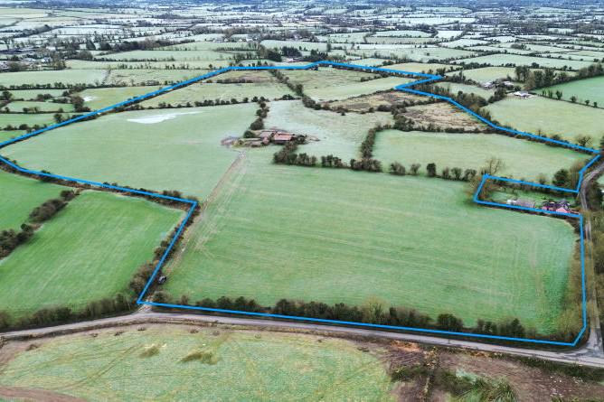 Golden Vale land with fields in two counties for auction