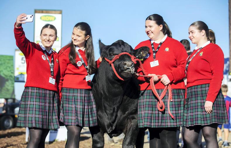 Cork school crowned winners of Certified Irish Angus competition