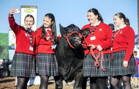 Cork school crowned winners of Certified Irish Angus competition