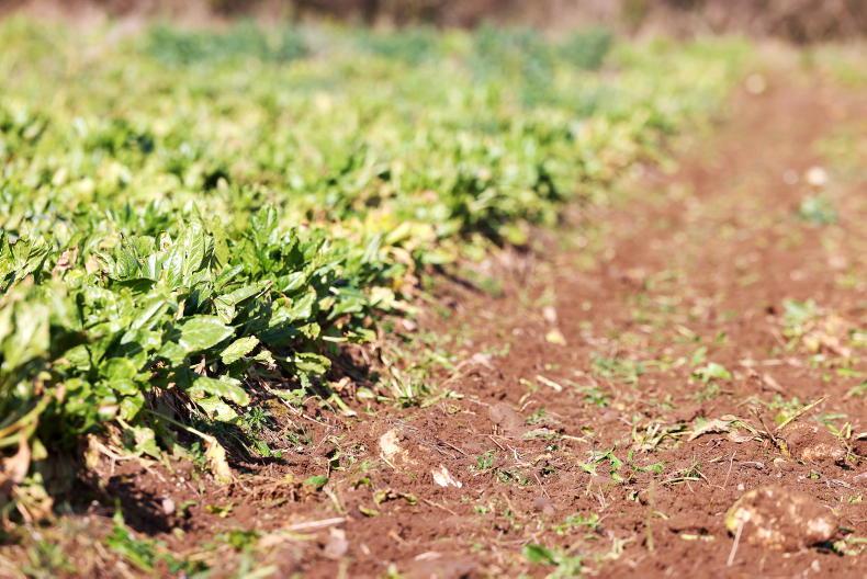 Watercourses, buffers and forage crops