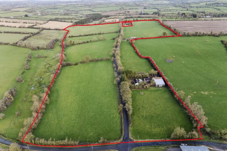 Sheriffhill residential farm in Kildare set to go under the hammer