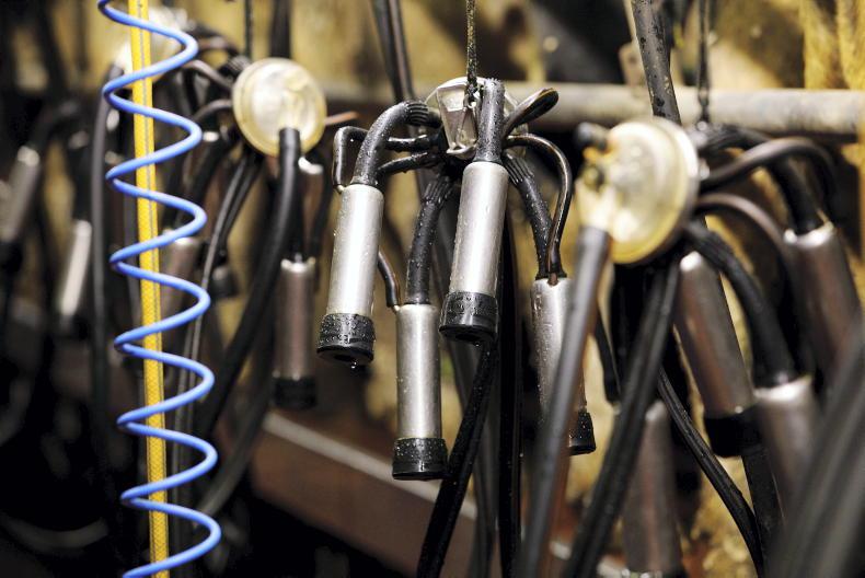 Milk supply up 4% on January 2025