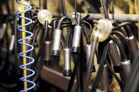 Milk supply up 4% on January 2025