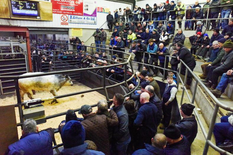 Mart boards to show CBV values for genotyped cattle