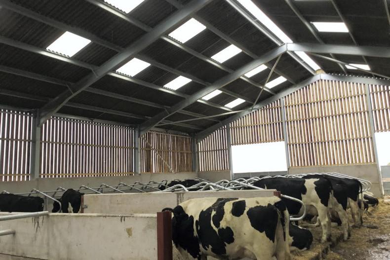 Farmer Writes: no turnout for at least another six weeks