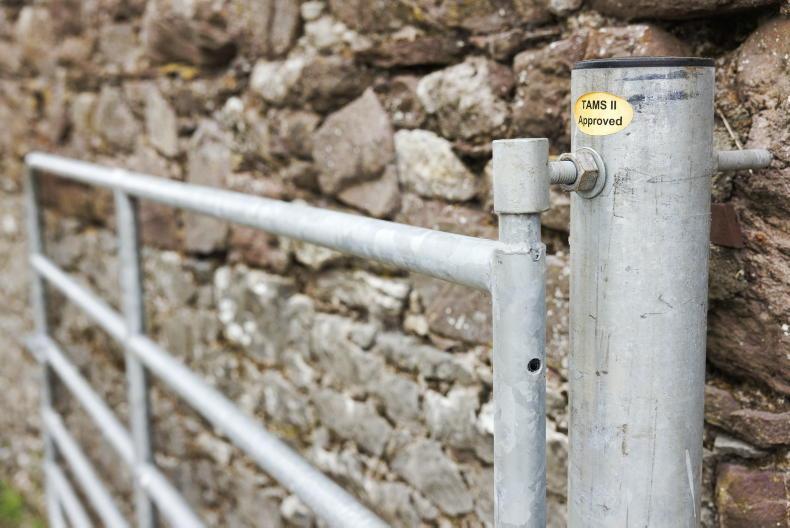 Advisers agitated as Department admits major TAMS error