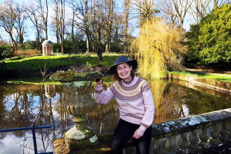 Hillsborough Castle head gardener’s top tips
