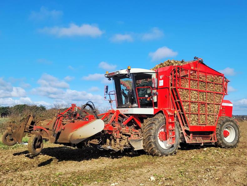 Self-propelled Vervaet doubles the output of two trailed beet harvesters 