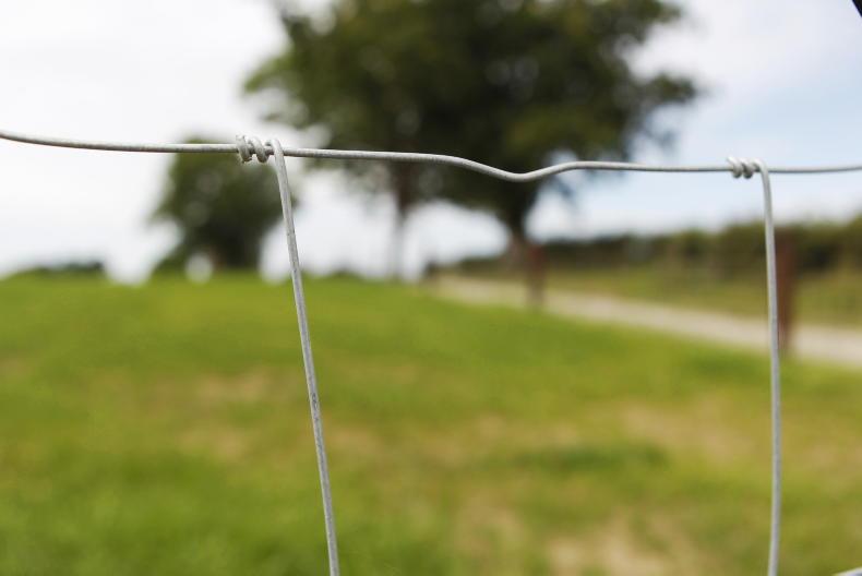 Strong warnings issued over the trading of entitlements