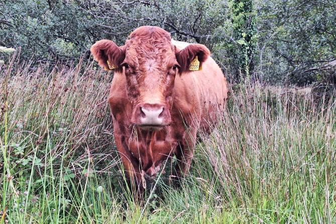 Department reminds farmers about attendance at voluntary ACRES training course