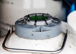 Another year, another breeding season