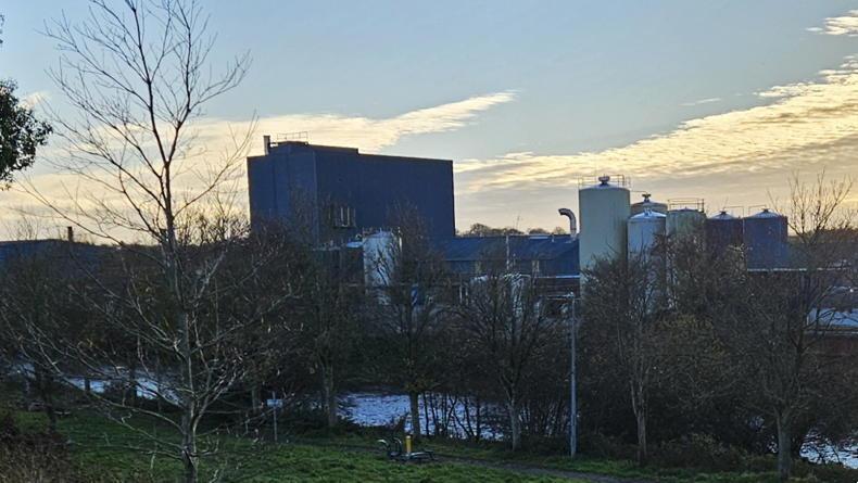 SIPTU seeks urgent meeting with North Cork Creameries over job threats