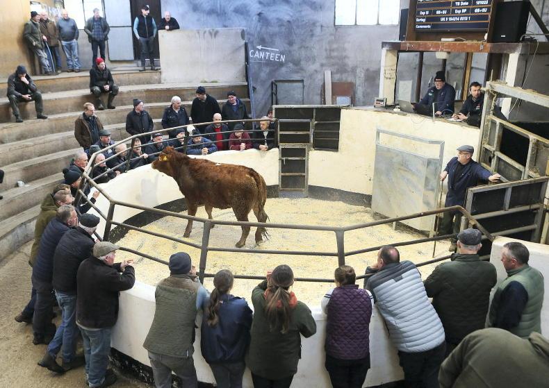 Muir seeks clarity on money for farmers