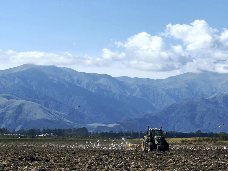 A wet summer in NZ is a reminder of home