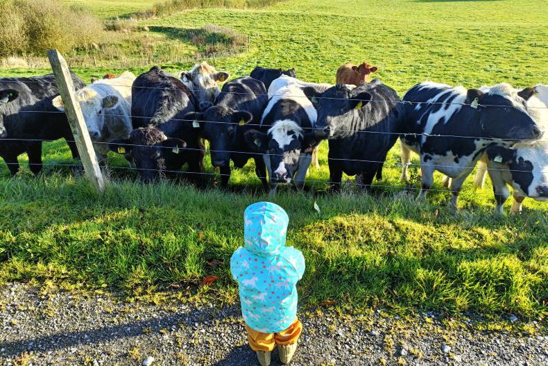 Country vibes... a few of our favourite things