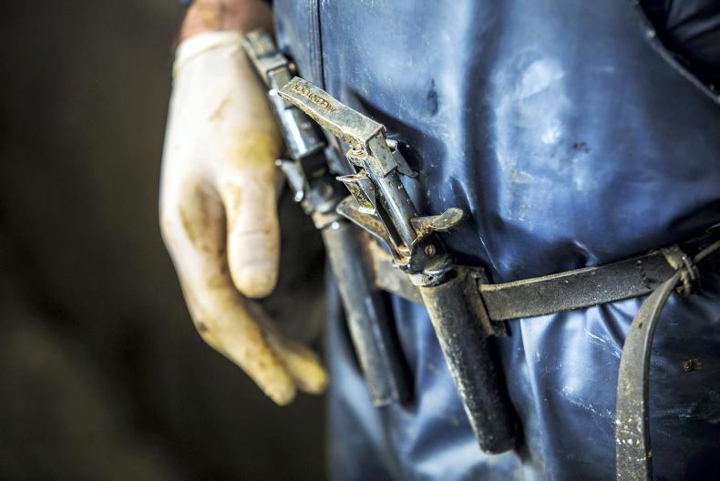 ICMSA calls for ‘utter confusion’ over new TB rules to be addressed 