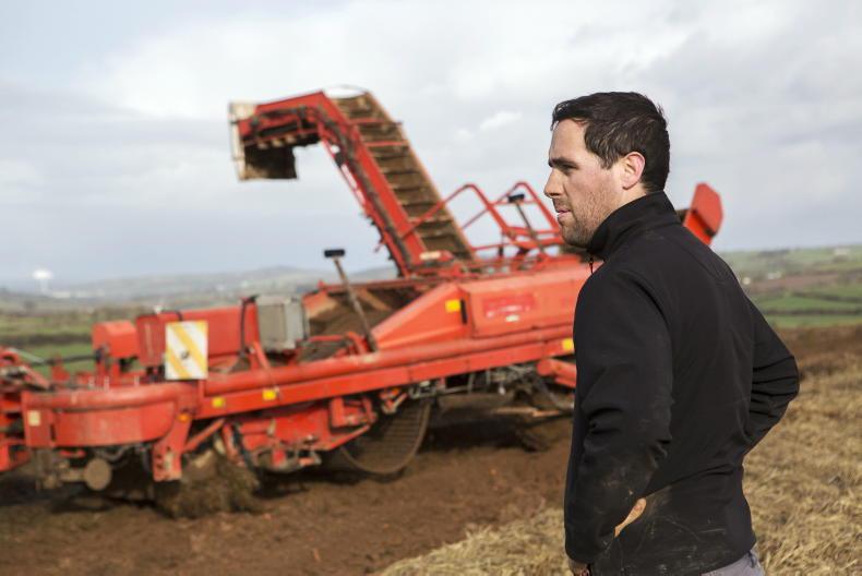 Liquidator appointed to Kilkenny vegetable grower’s company 