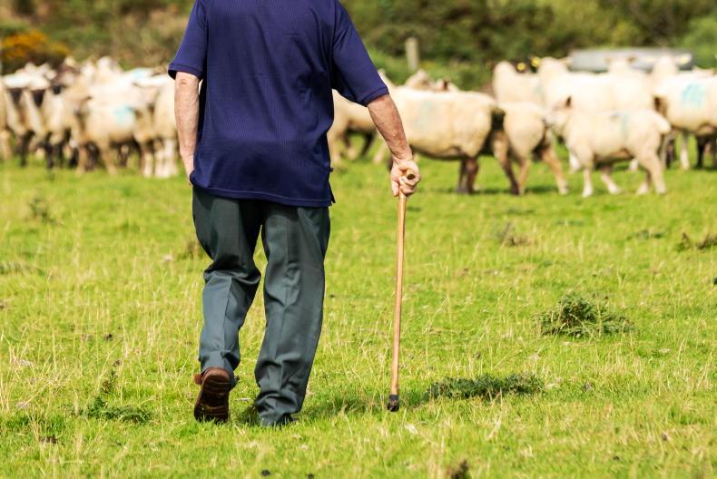 Department 'very wary' of new CAP proposals 