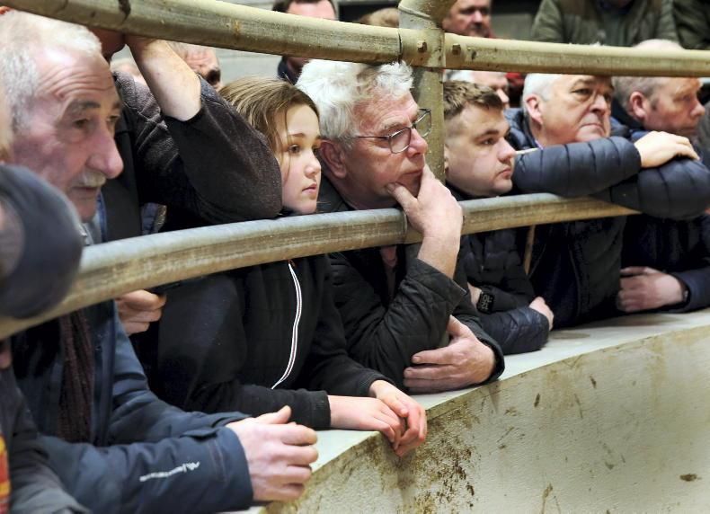 Northern Ireland diary of events