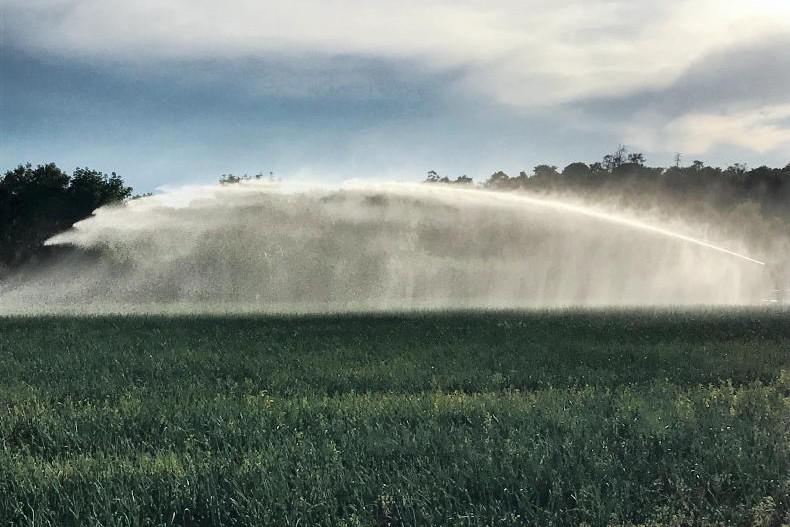 Is fruit and vegetable production on the brink?