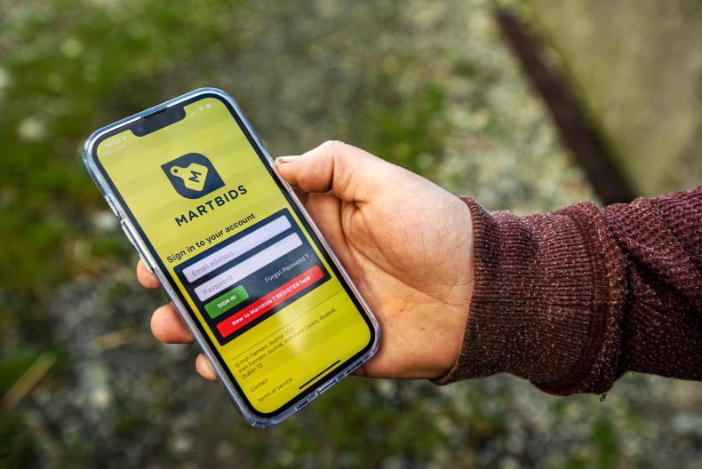 Ballymahon Mart moves to Martbids