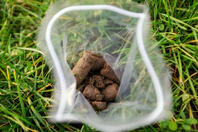 Editorial:  75% of Irish soils are nutrient deficient