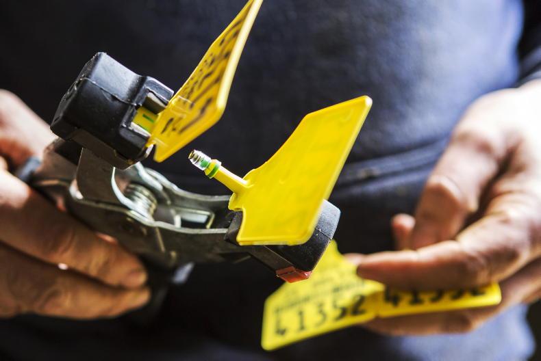 BVD compensation increases announced by Minister Heydon