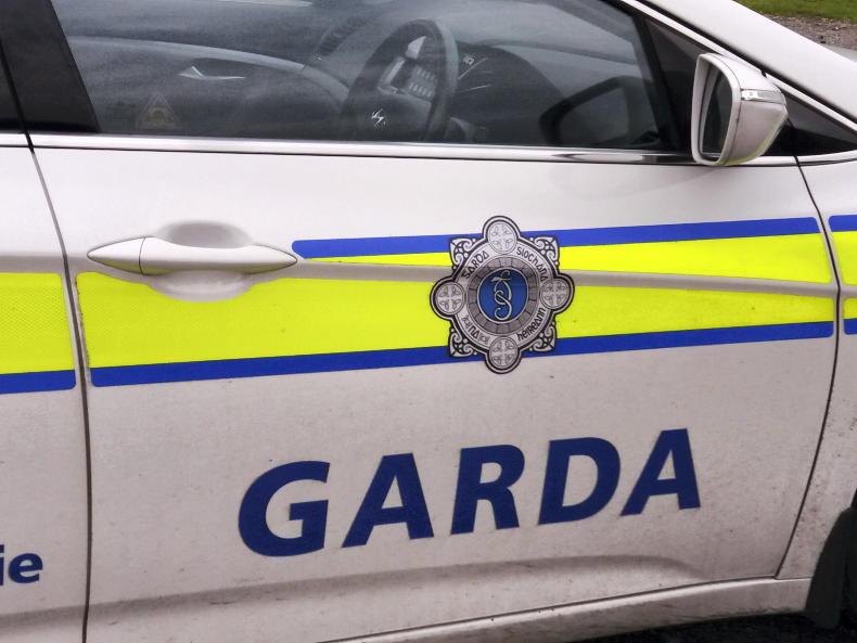 Investigation into death of man at Roscrea meat factory