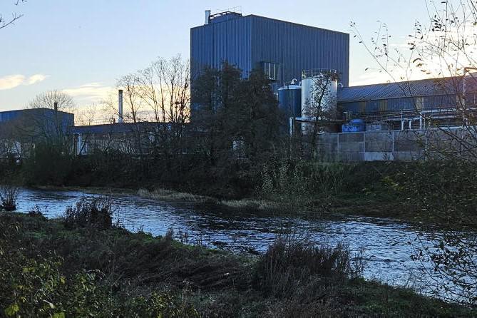 Comment: saving North Cork Creameries