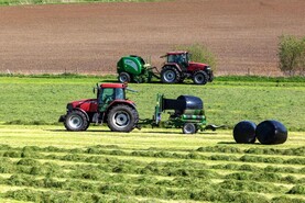 Oil surge drives up silage costs