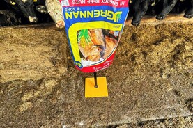 Bower School TY students through to All-Ireland young enterprise final  