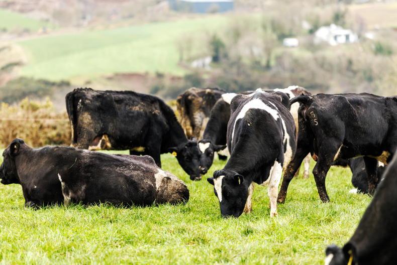 Management: grazing watchpoints for the coming weeks