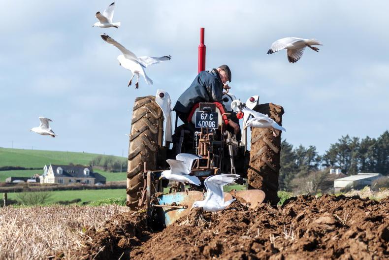 Watch: this week's pictures as farmers spread slurry and gather at mart sales