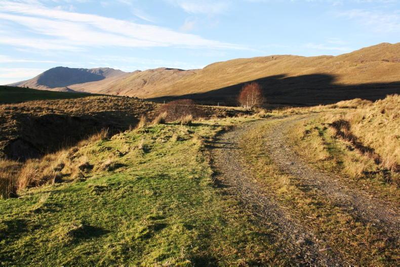 Independent assessment sought on NPWS conservation status report